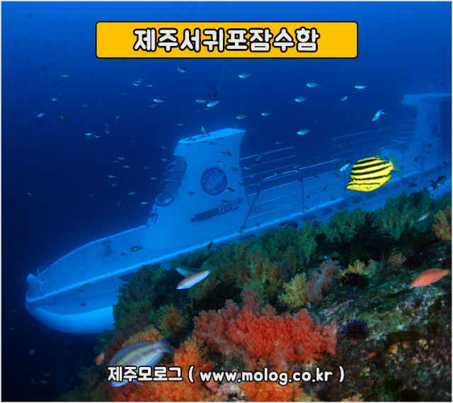 제주서귀포잠수함.jpg